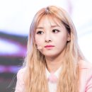 뮤직라이브 이미지