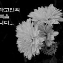 내서읍540 이미지