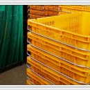 은파로지스 이미지