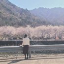 삼척엘림캠핑장 이미지