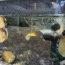 완도상회 이미지