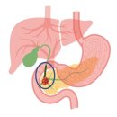 "얼굴이 점점 노래져요"…의사 찾아갔더니 '청천벽력' 이미지