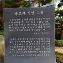 디딤돌교회