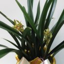 대훈유통 이미지