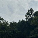 장동 산림욕장 입구 공중화장실 이미지