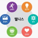 웰니스피트니스 이미지