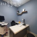 바나나동물병원 이미지