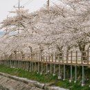 보령-주산-1 이미지