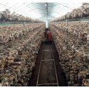 법수농원 이미지