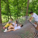 부모님 칠순기념 2박 3일 대가족여행 춘천숲체원 숙소이용후기