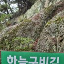 소나기/3행시 이미지