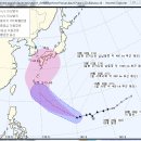 스타다육