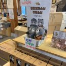 비룡체육관 | 2025년 11월 일기