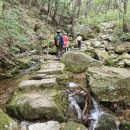 두 Y자(평일) 이미지