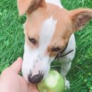 재순농장 이미지