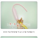 왕초보 풍선아트 이미지