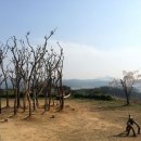 안견창작스튜디오 티스토리