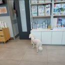 장신대역(1번출구 옆) 이미지