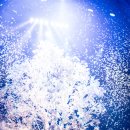 이은결 더 일루션 마스터피스 이미지