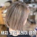 제주 유일 새치 고잉그레이 염색 미용실 호미헤어 시아