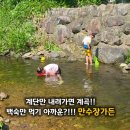 장안사5 | 기장 만수장가든 후기 초등 아이와 물놀이하기 좋았던 부산 장안사 계곡