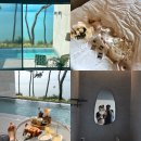 여여담2 이미지