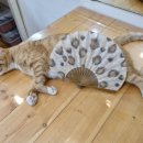 민화  전통채색화 이미지