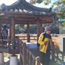 정곡선착장(정곡마을) 이미지