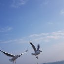 주식회사 대교 이미지