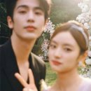 인생안경 이미지