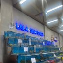 [나트랑 자유여행] 나트랑 해산물 맛집 라라씨푸드 내돈내산 후기