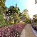 동화마을수목원 이미지