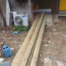 아들농장 이미지