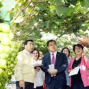 금화농원 이미지