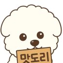 방배로23길 32-12 | 서초 방배동 볼레티 크리스마스 디너 코스요리 와인리스트 내돈내산 방문 후기