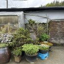 상미농원 이미지