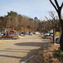 입화산참살이숲야영장 이미지