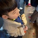 서울 아이랑 갈만한곳, gtx 타고 광장시장 먹거리 투어!