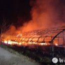 용인양계 이미지