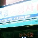 대명여행사