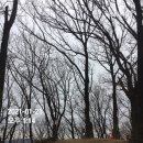 깜봉산 정상 이미지
