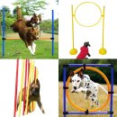 도그,위브 이미지