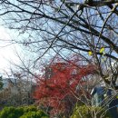 동삼3동-1 이미지