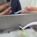 말티 | 플라리아 몰티즈 노글루 속눈썹 말티찰랑 말티데이 사용 후기