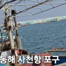 사천항포구 이미지