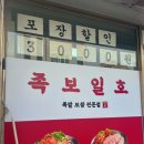 족보일호