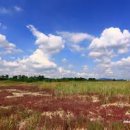 바람처럼구름처럼 이미지