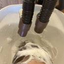 엘엔비헤어 | 나 예쁜 머리했어요 :: (광고X) 영주 엘엔비헤어💇🏻‍♀️ :: [레이어드컷/애쉬매트브라운🤎]
