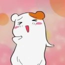 무쇠김치삼겹 미사점 이미지