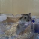 해바라기PC방 이미지